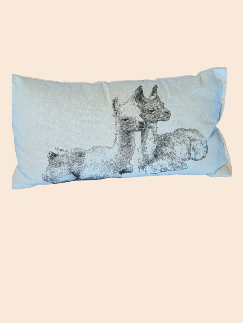 Eric & Christopher Llama cotton Canvas Page & Karinna Throw Pillow Farmhouse
